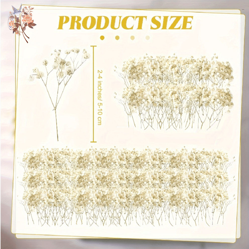 Mini Gedroogde Gypsophila Bloe - Candle Making Uk recensie en prijs