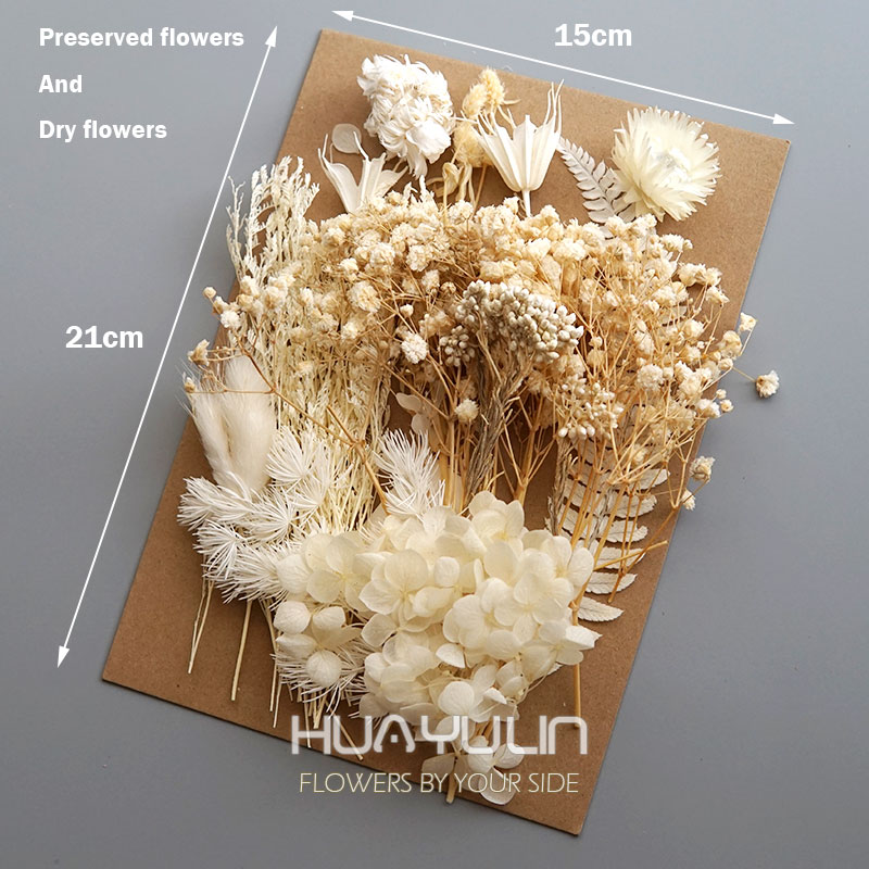 1-pack kunstplanten gedroogde  - Candle Making Diy recensie en prijs